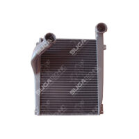 6565010201 RADIATOR FOR INTERCOOLER 2629-3031 MERCEDES