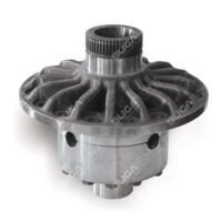81351100039 DIFFERENTIAL CASE