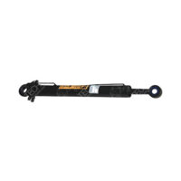 0025539105 HYDRAULIC CYLINDER ACTROS