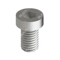 SK212107 Fifth Wheel Cylinder screw