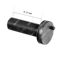 B20031011 Caliper Calibration Bolt (With Short Pin)