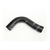 301789 Thermostad Hose