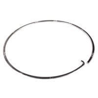 3988839 BRAKE DISC RING (1 pc)