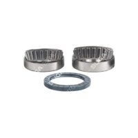 5010587010 WHEEL HUB BEARINGS
