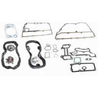 1420260 GASKET SET