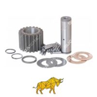 273934 DIFFERENTIAL GEAR SET