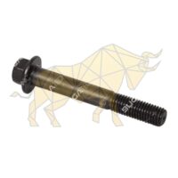 984863 CLUTCH RELEASE SCREW