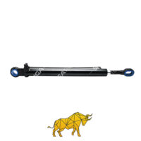 0025534405 HYDRAULUIC CYLINDER ACTROS