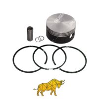 B12013007 PISTON & RING, COMPRESSOR(Ø100,00 mm)