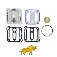 B12025044 VALVE PLATE KIT, COMPRESSOR
