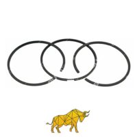 B12063005 RING, COMPRESSOR