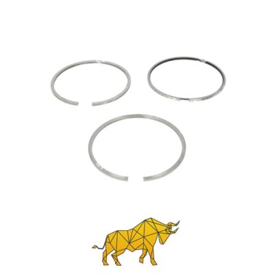 0683482 PISTON RING KIT B01051001 DAF