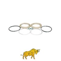 11706855 VALVE SEAL REPAIR KIT VOLVO