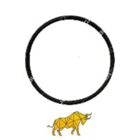 11707775 O-RING B09821002 VOLVO