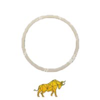 12973913 RING B08821051 VOLVO