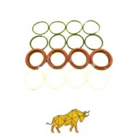 15500158 SEALING KIT B04881001 TEREX