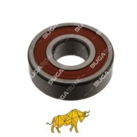 0661319 FLYWHEEL BEARING DAF